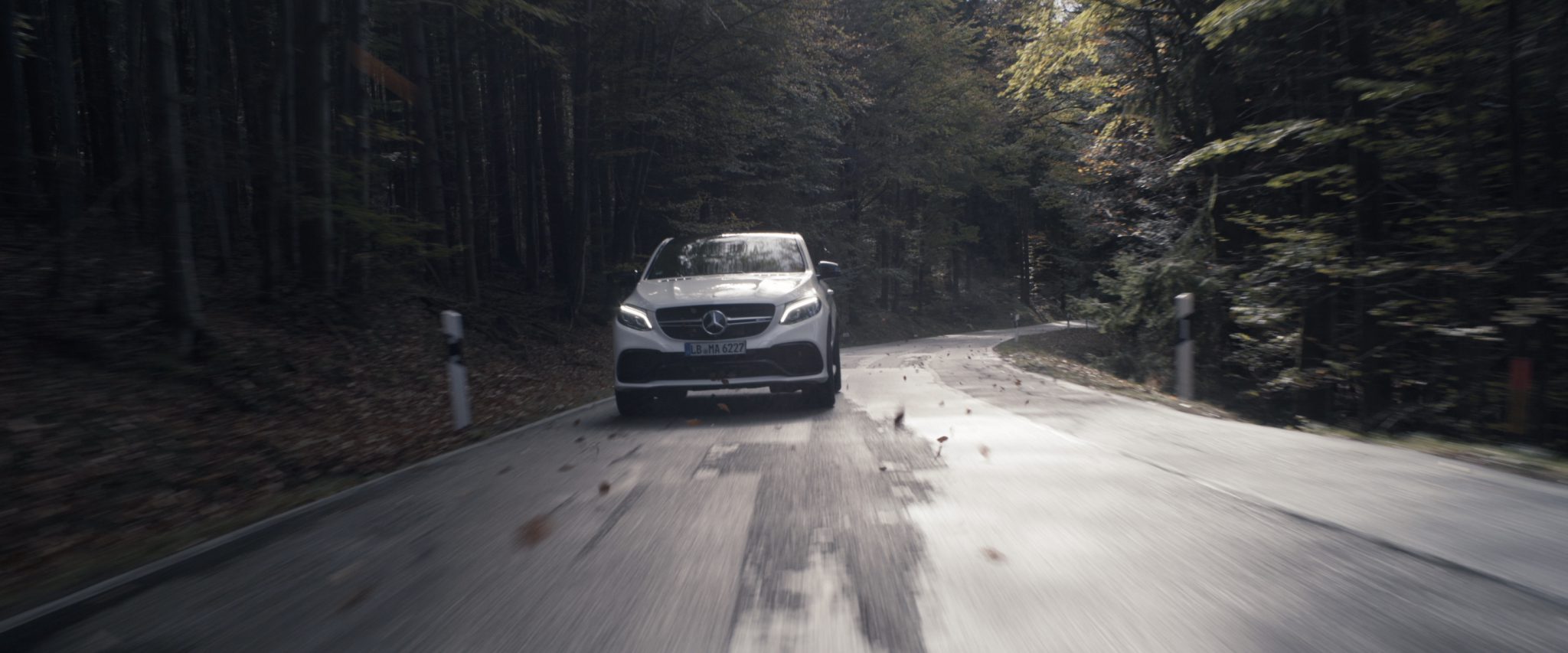 Mercedes-Benz car driving through deep forest